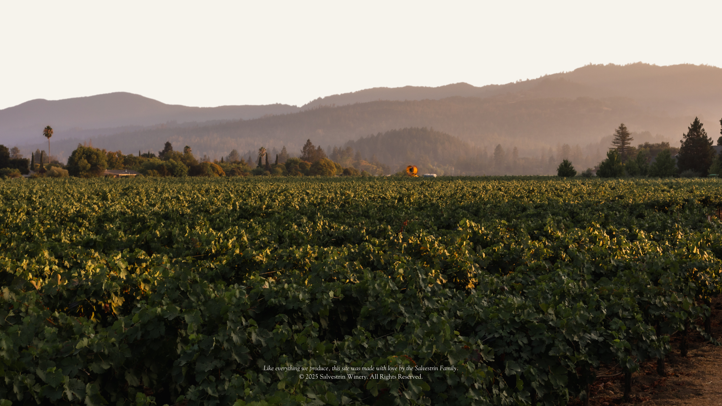 Dr. Crane Vineyard — Salvestrin Winery